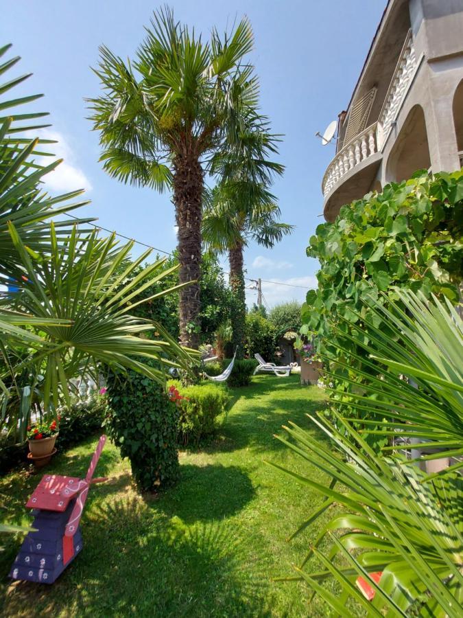 Apartman Palma Marinici  المظهر الخارجي الصورة