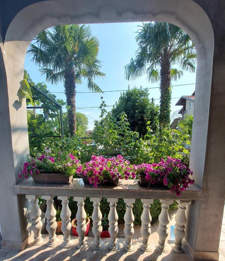 Apartman Palma Marinici  المظهر الخارجي الصورة
