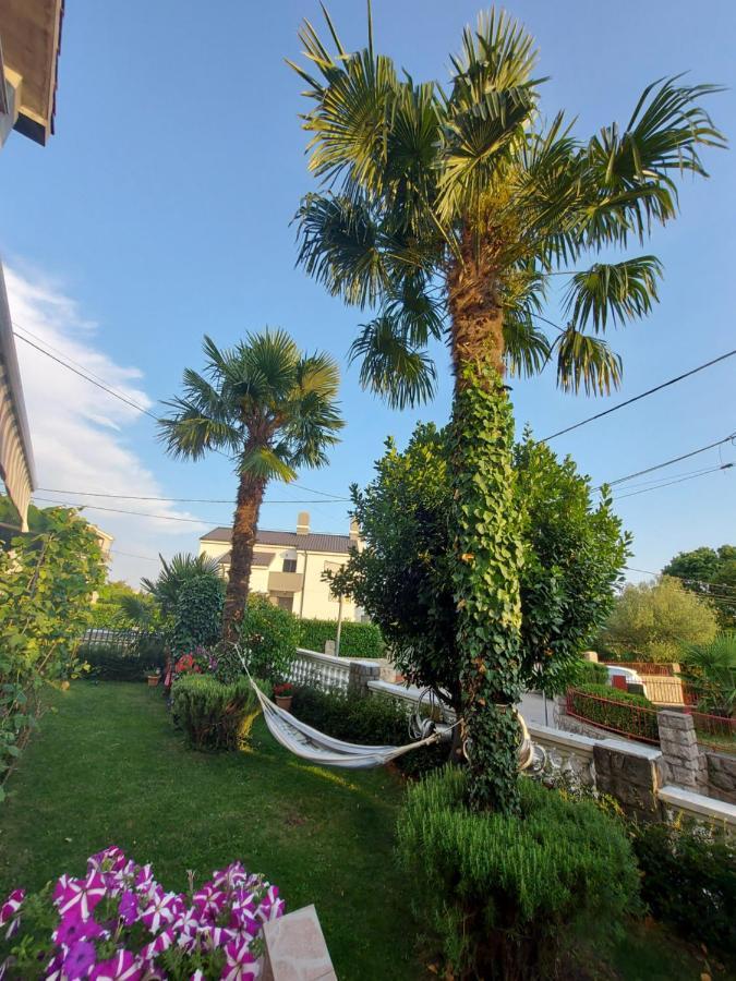 Apartman Palma Marinici  المظهر الخارجي الصورة